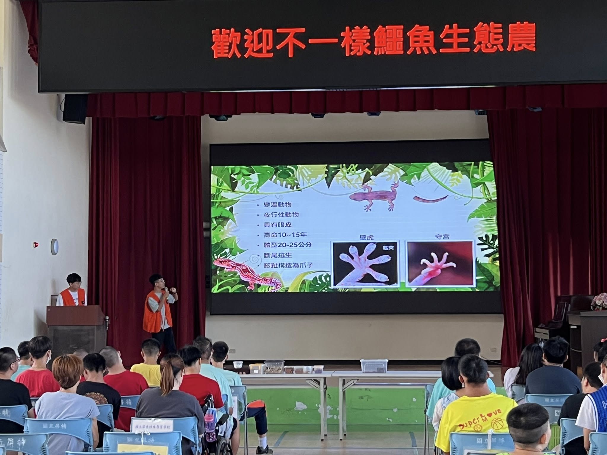 114.06.06自然科學研習-與爬蟲類有約